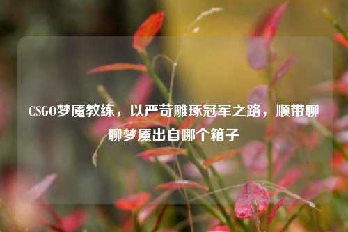 CSGO梦魇教练,以严苛雕琢冠军之路,顺带聊聊梦魇出自哪个箱子