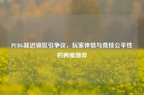 PUBG延迟锁区引争议,玩家体验与竞技公平性的两难博弈