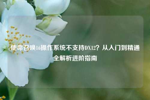 使命召唤16操作系统不支持DX12?从入门到精通全解析进阶指南
