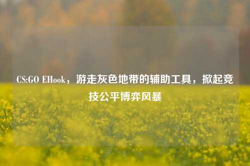 CS:GO EHook,游走灰色地带的辅助工具,掀起竞技公平博弈风暴