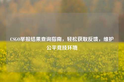 CSGO举报结果查询指南,轻松获取反馈,维护公平竞技环境