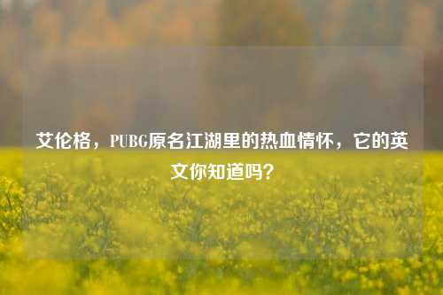 艾伦格,PUBG原名江湖里的热血情怀,它的英文你知道吗?