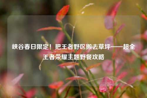 峡谷春日限定!把王者野区搬去草坪——超全王者荣耀主题野餐攻略
