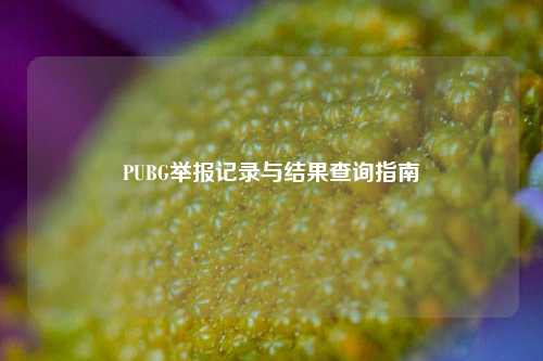 PUBG举报记录与结果查询指南