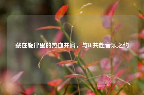 藏在旋律里的热血并肩,与IU共赴音乐之约