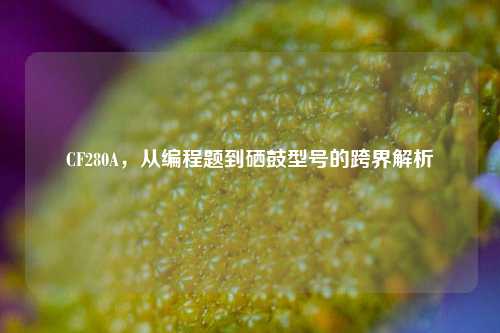 CF280A,从编程题到硒鼓型号的跨界解析