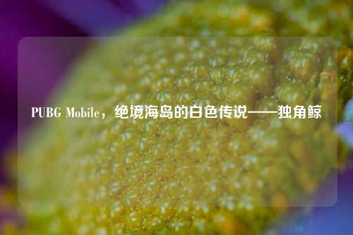 PUBG Mobile,绝境海岛的白色传说——独角鲸