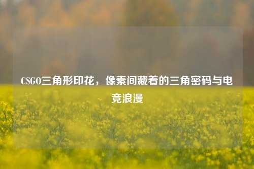 CSGO三角形印花,像素间藏着的三角密码与电竞浪漫