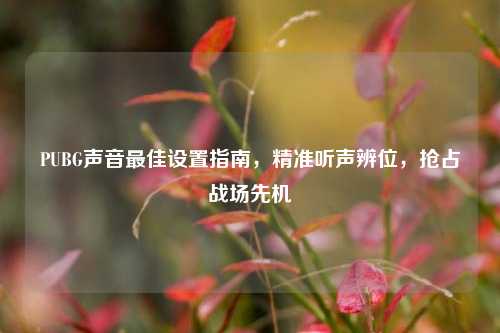 PUBG声音更佳设置指南,精准听声辨位,抢占战场先机