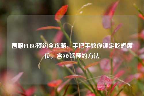国服PUBG预约全攻略,手把手教你锁定吃鸡席位,含iOS端预约