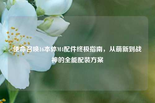 使命召唤16本体M4配件终极指南,从萌新到战神的全能配装方案