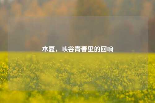 木夏,峡谷青春里的回响