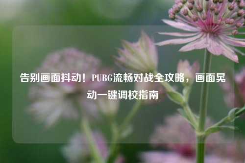 告别画面抖动!PUBG流畅对战全攻略,画面晃动一键调校指南