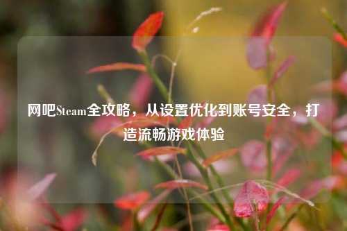 网吧Steam全攻略,从设置优化到账号安全,打造流畅游戏体验