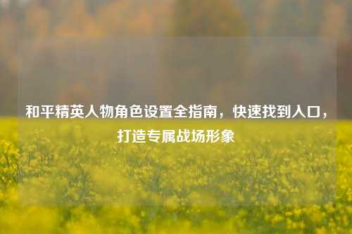 和平精英人物角色设置全指南,快速找到入口,打造专属战场形象