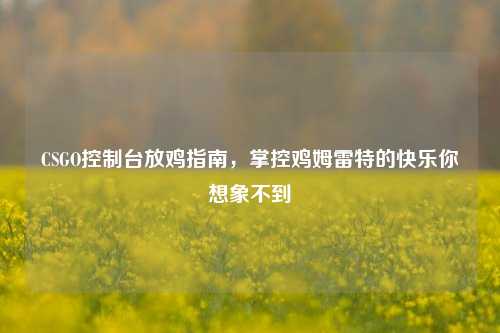 CSGO控制台放鸡指南,掌控鸡姆雷特的快乐你想象不到