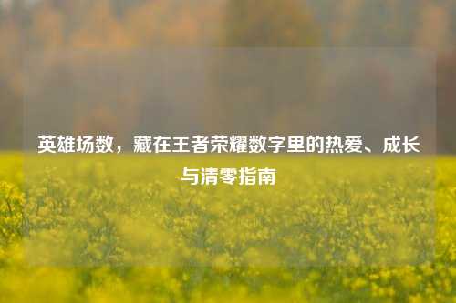 英雄场数,藏在王者荣耀数字里的热爱、成长与清零指南