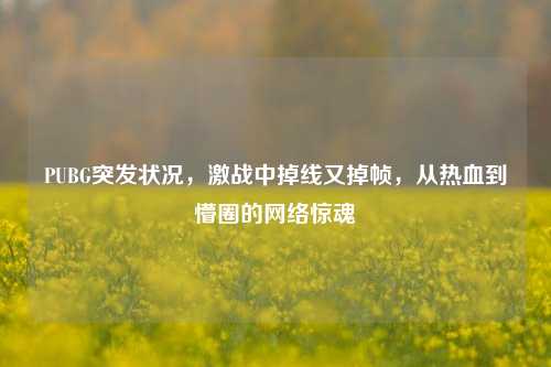 PUBG突发状况,激战中掉线又掉帧,从热血到懵圈的 惊魂