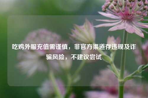 吃鸡外服充值需谨慎,非官方渠道存违规及诈骗风险,不建议尝试