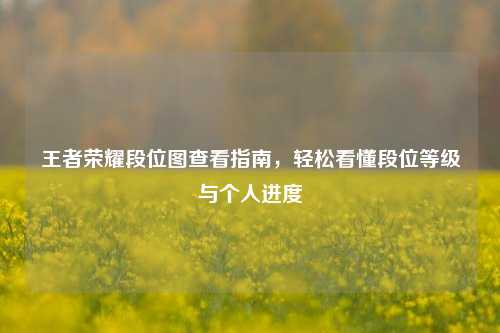 王者荣耀段位图查看指南,轻松看懂段位等级与个人进度