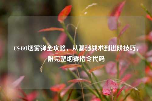 CS:GO烟雾弹全攻略,从基础战术到进阶技巧,附完整烟雾指令代码