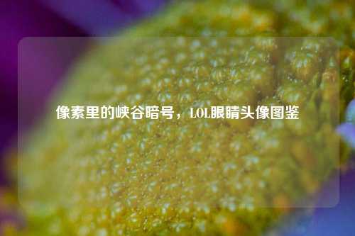 像素里的峡谷暗号,LOL眼睛头像图鉴