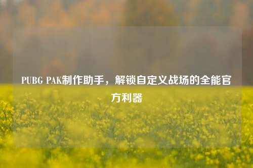 PUBG PAK 助手,解锁自定义战场的全能官方利器