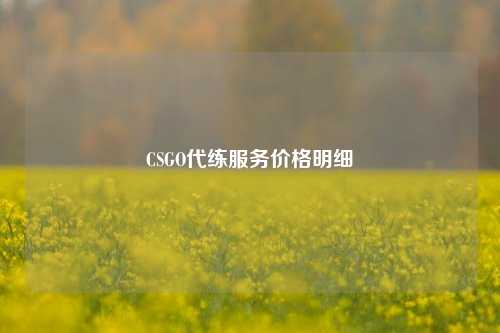 CSGO代练服务价格明细