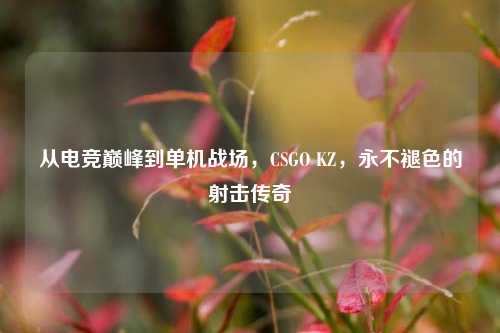 从电竞巅峰到单机战场,CSGO KZ,永不褪色的射击传奇