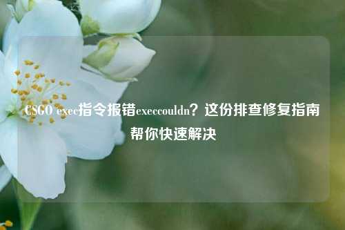 CSGO exec指令报错execcouldn?这份排查修复指南帮你快速解决