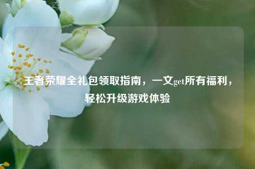王者荣耀全礼包领取指南,一文get所有福利,轻松升级游戏体验