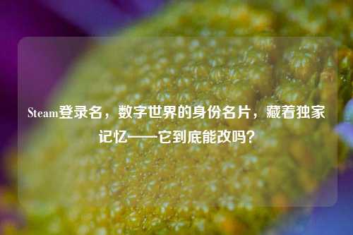 Steam登录名,数字世界的身份名片,藏着独家记忆——它到底能改吗?