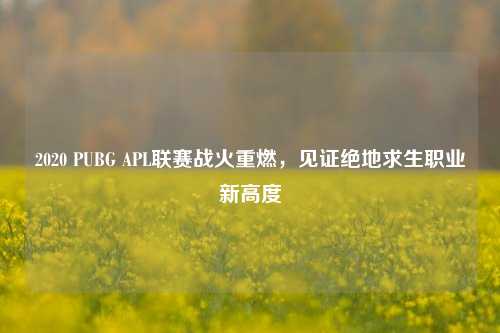 2020 PUBG APL联赛战火重燃,见证绝地求生职业新高度