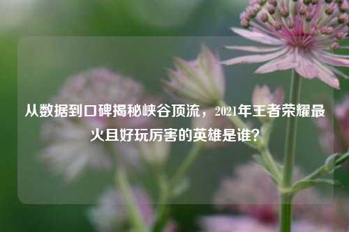 从数据到口碑揭秘峡谷顶流,2021年王者荣耀最火且好玩厉害的英雄是谁?