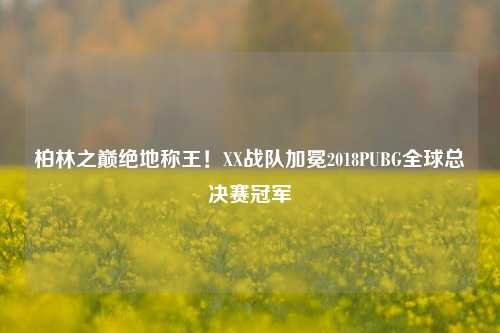 柏林之巅绝地称王!XX战队加冕2018PUBG全球总决赛冠军