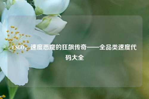 CSGO,速度恶魔的狂飙传奇——全品类速度代码大全