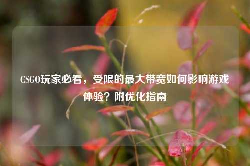 CSGO玩家必看,受限的更大带宽如何影响游戏体验?附优化指南