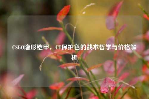 CSGO隐形铠甲,CT保护色的战术哲学与价格解析