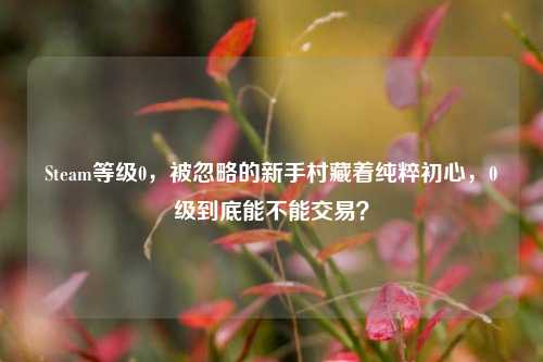 Steam等级0,被忽略的新手村藏着纯粹初心,0级到底能不能交易?