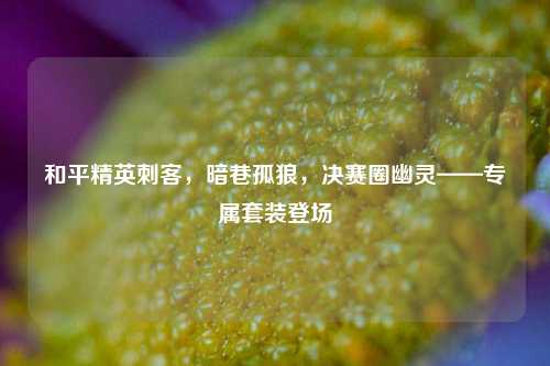 和平精英刺客,暗巷孤狼,决赛圈幽灵——专属套装登场