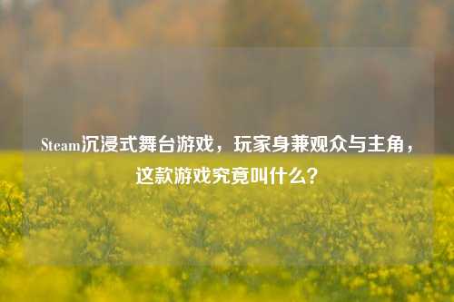 Steam沉浸式舞台游戏,玩家身兼观众与主角,这款游戏究竟叫什么?