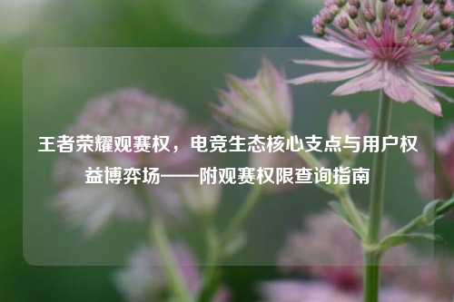 王者荣耀观赛权,电竞生态核心支点与用户权益博弈场——附观赛权限查询指南