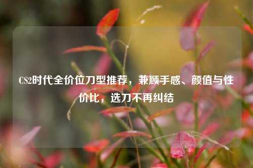 CS2时代全价位刀型推荐,兼顾手感、颜值与性价比,选刀不再纠结